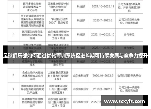 足球俱乐部如何通过优化青训系统促进长期可持续发展与竞争力提升