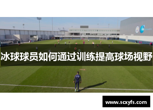 冰球球员如何通过训练提高球场视野